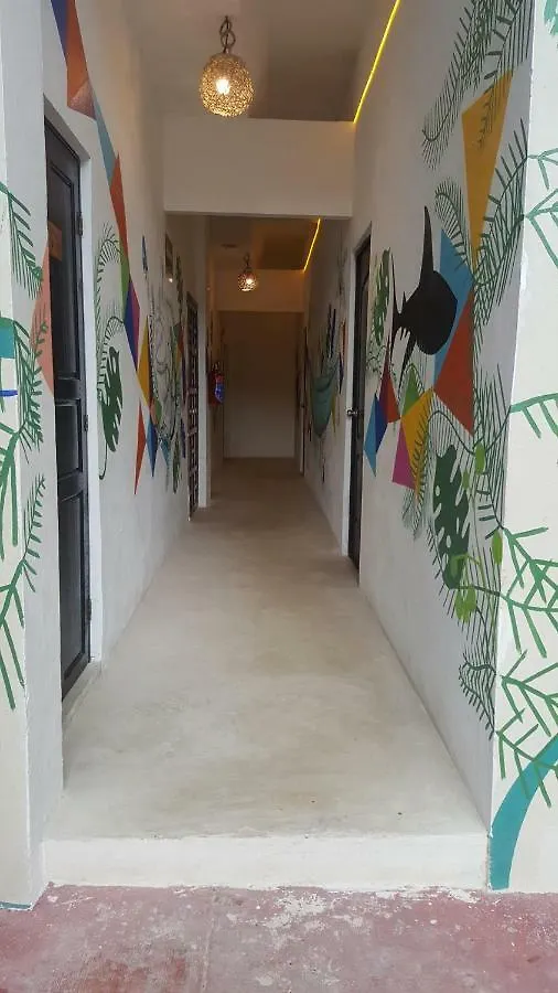 Jungle House Tulum Hotel & Hostal